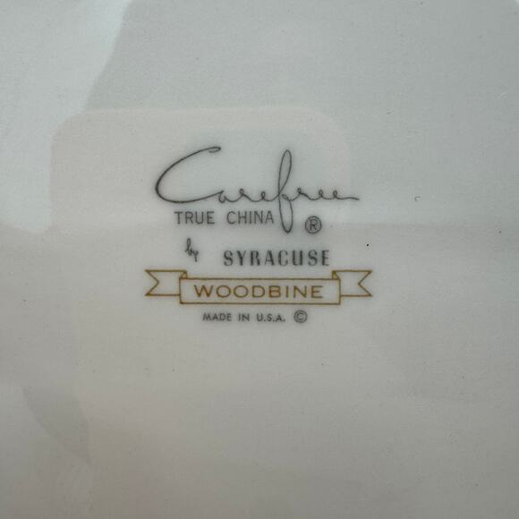 Vtg Cup & Saucers Woodbine by Syracuse Carefree Fine China 1960's set/6 (12 pcs) - Picture 6 of 10